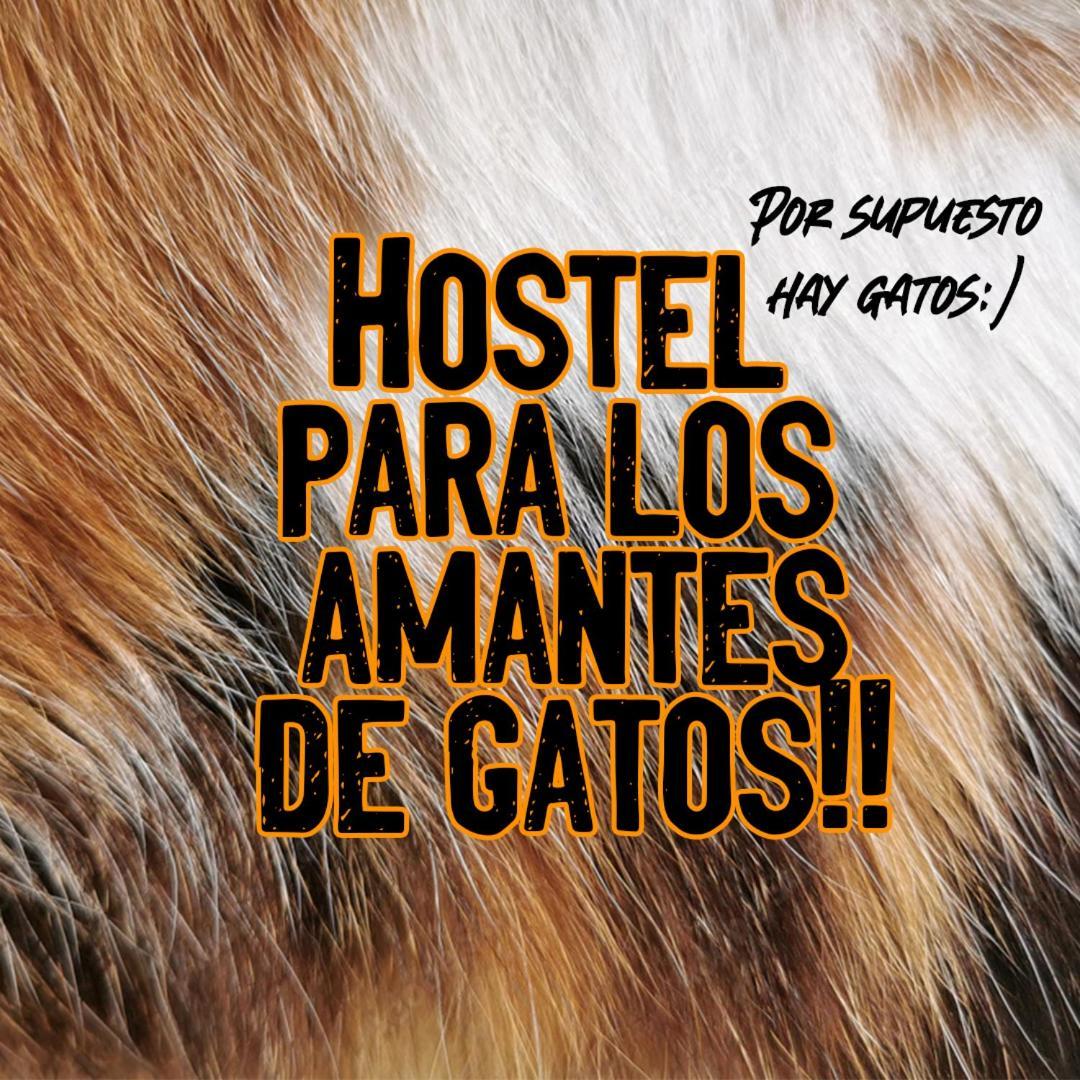 Posada De Los Gatos Bed and Breakfast Puerto Natales Exterior foto